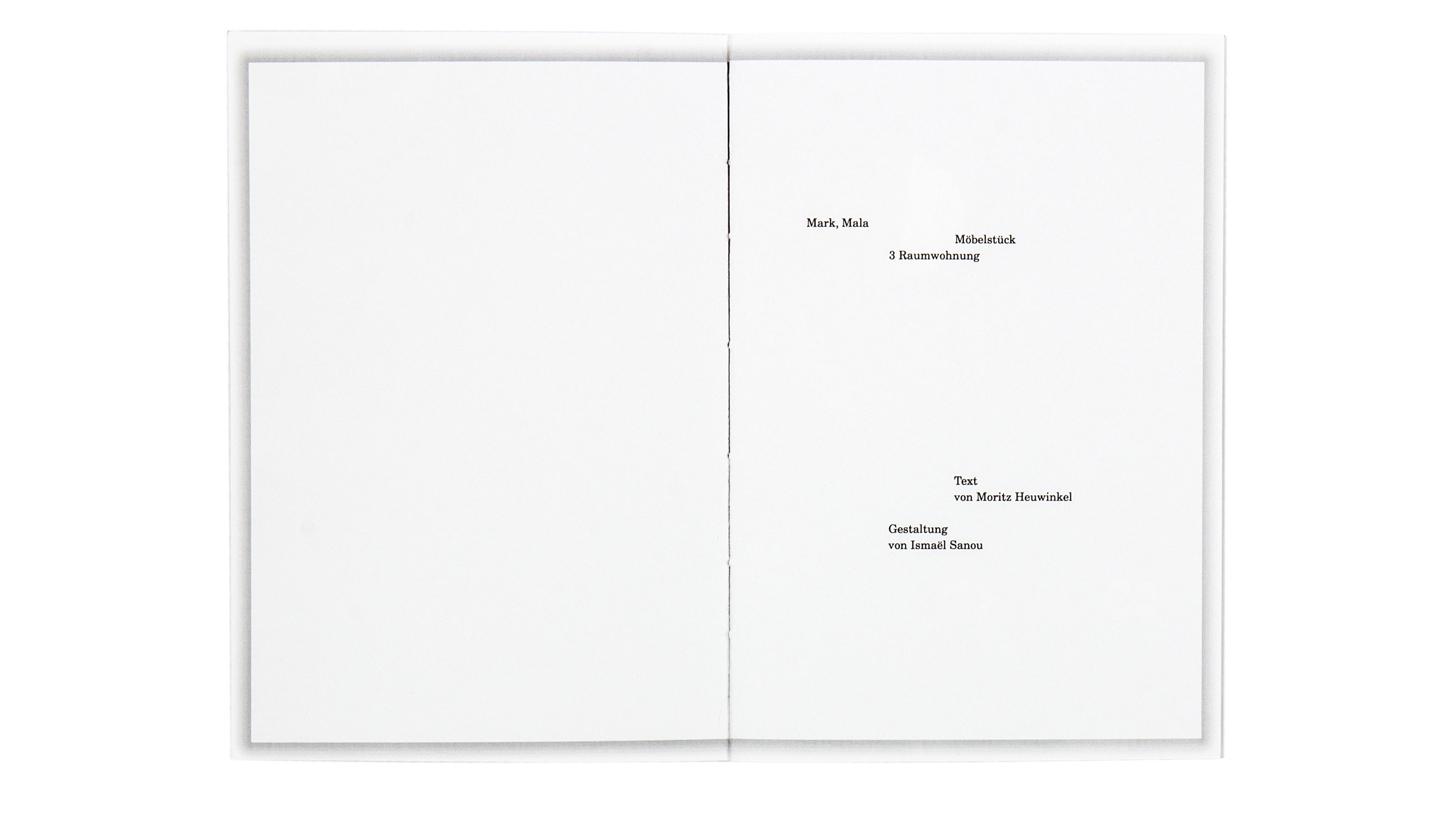 3 Raumwohnung innenseite Design Buchgestaltung black clean Editorial Design