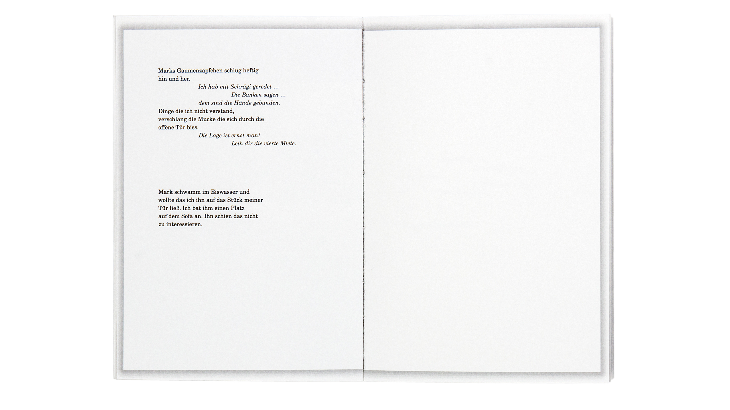 3 Raumwohnung innenseite Design Buchgestaltung black clean Editorial Design Poster Literatur Hildesheim Universität