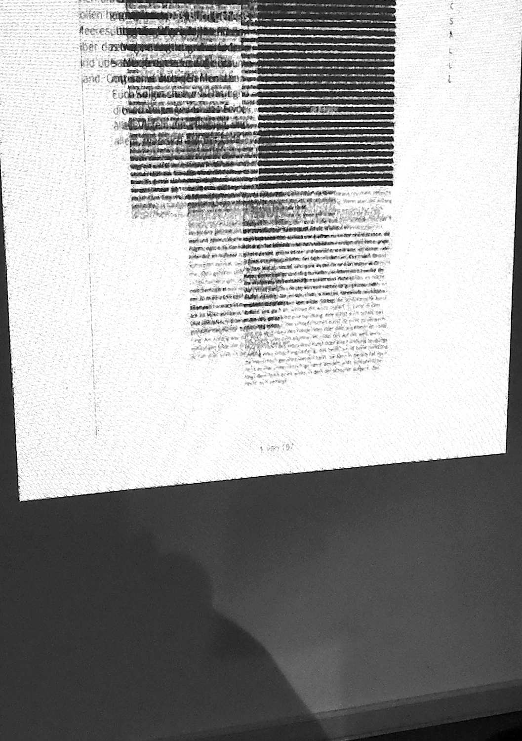 Das Elster Experiment E-book Buchgestaltung editorial design Typographie