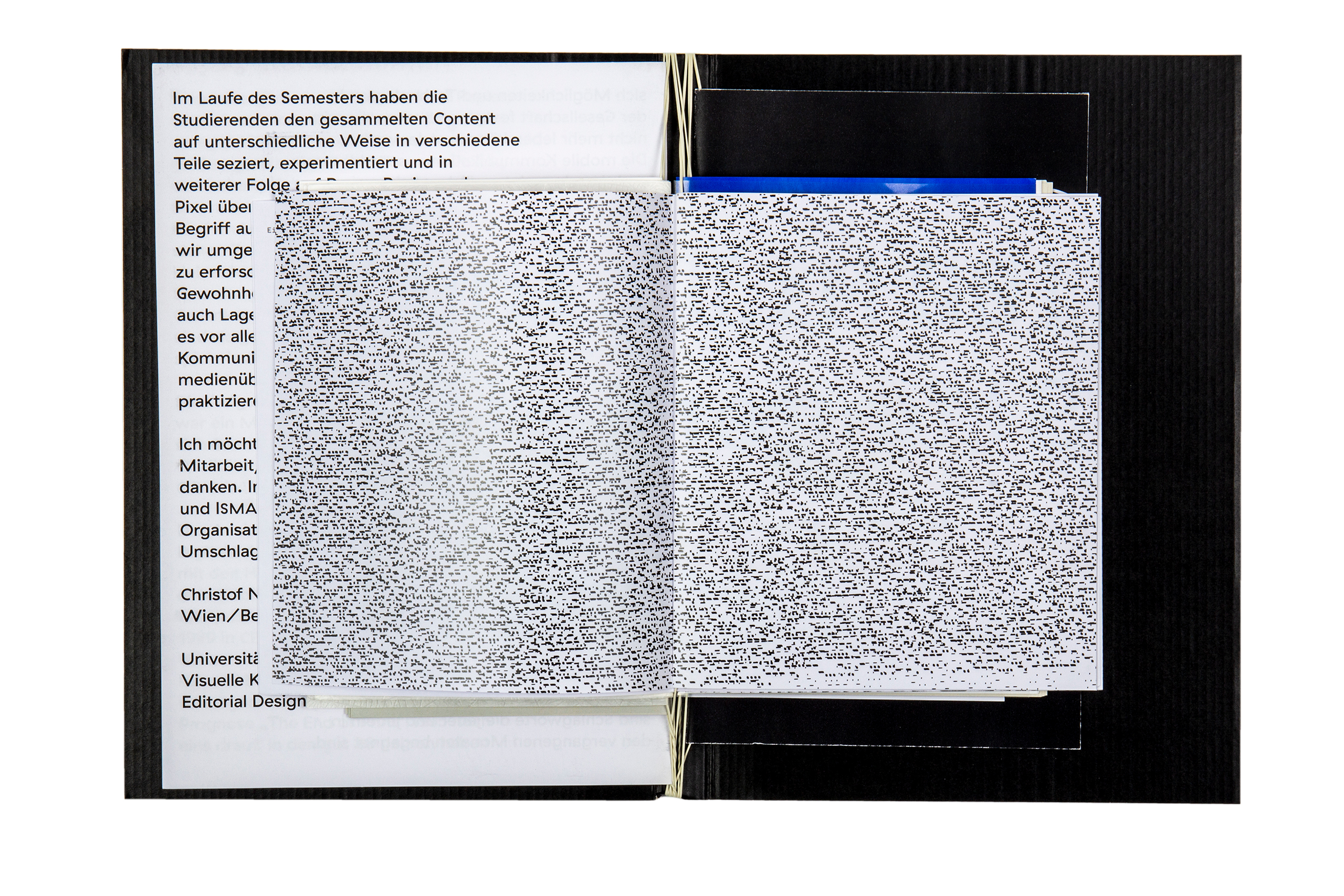 Buchgestaltung Book design Editorial Design Die Zukunft der Speichermedien Datensicherung mixed media installation Buchgestaltung Publikation Seibdruck Installation Pflanze Projektion Code