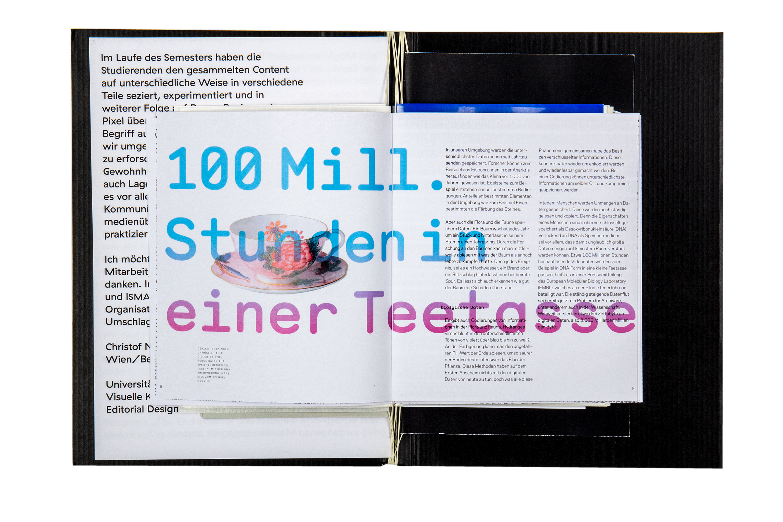 Buchgestaltung Book design Editorial Design Die Zukunft der Speichermedien Datensicherung mixed media installation Buchgestaltung Publikation Seibdruck Installation Pflanze Projektion