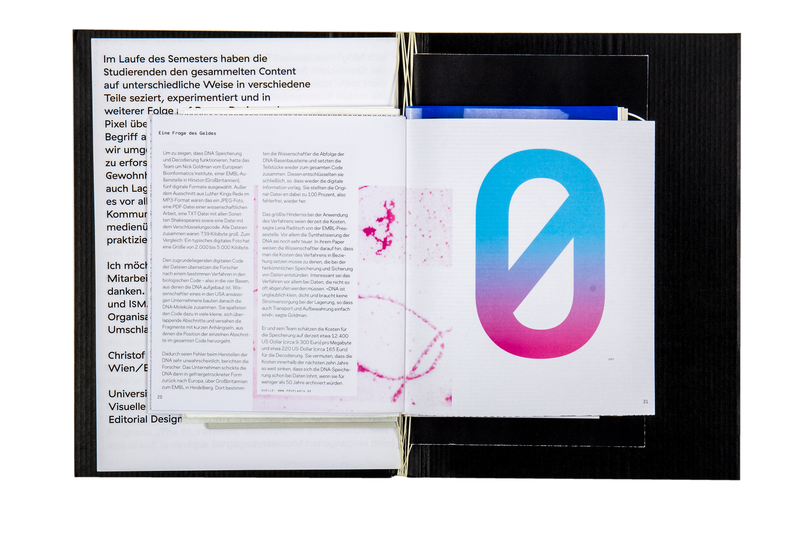 Buchgestaltung Book design Editorial Design Die Zukunft der Speichermedien Datensicherung mixed media installation Buchgestaltung Publikation Seibdruck Installation Pflanze Projektion