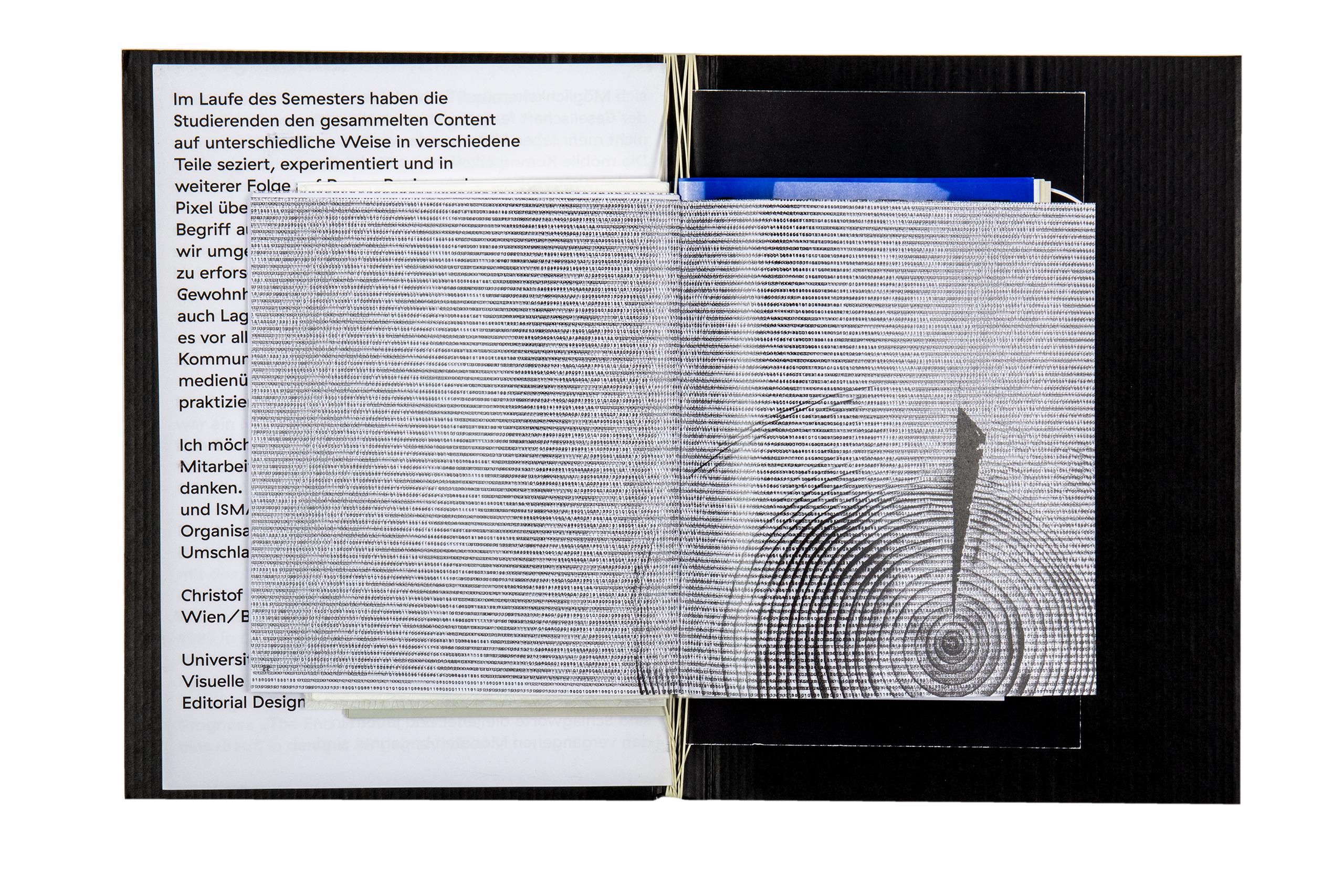 Die Zukunft der Speichermedien Datensicherung mixed media installation Buchgestaltung Publikation Seibdruck Installation Pflanze Projektion