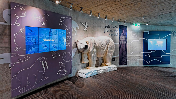 Polardom Schönbrunn Museum Ausstellungsgrafik Foto Jungel Schmid