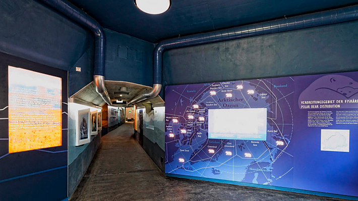 Polardom Schönbrunn Museum Ausstellungsgrafik Foto Jungel Schmid